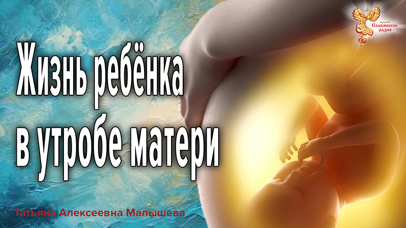 Жизнь ребёнка в утробе матери