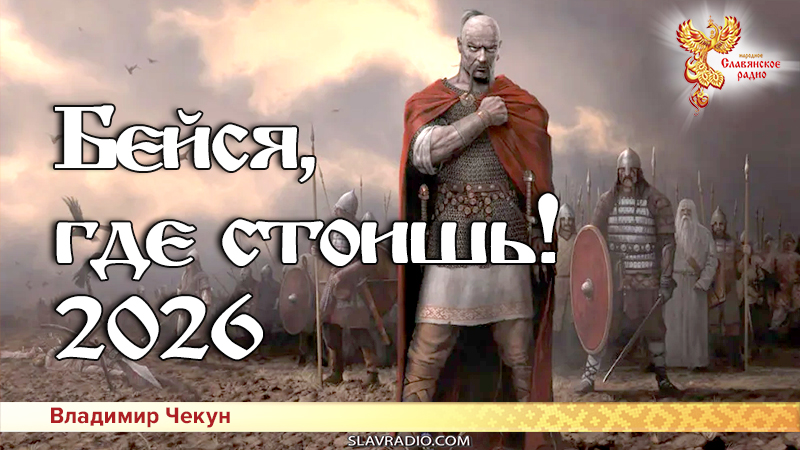 Бейся, где стоишь! 2026