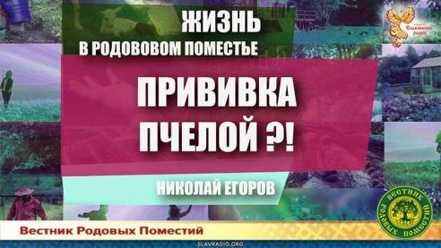 Прививка пчелой