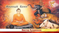 Мирный воин