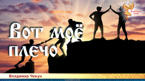 Вот моё плечо