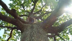 Община-природная основа взаимодействия людей