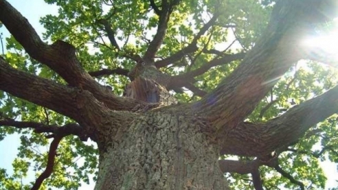 Община-природная основа взаимодействия людей