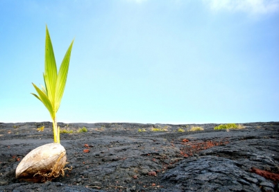 Живая беседа о&nbsp;Жизни