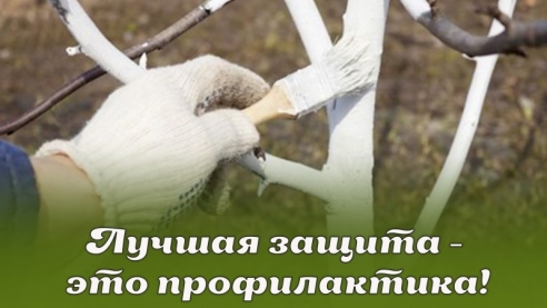 Лучшая защита - это профилактика!