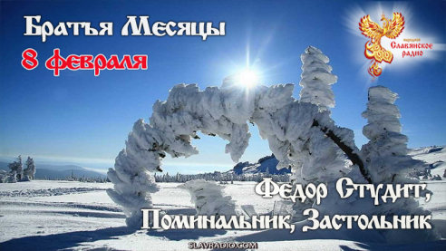 8 февраля