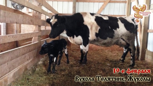 19-е февраля