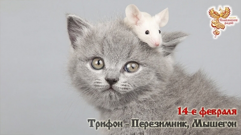 14-е февраля