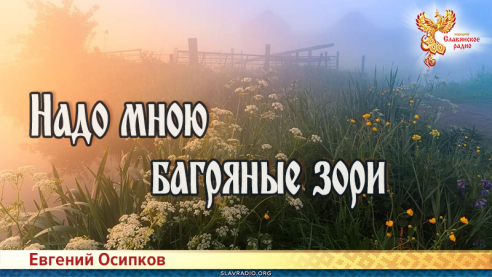 Надо мною багряные зори