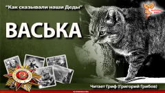 Васька. Про кота в Блокаду Ленинграда