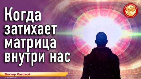 Когда затихает матрица внутри нас