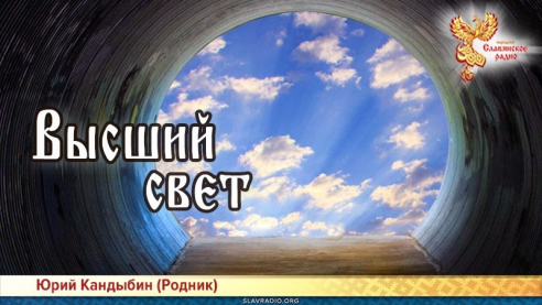 Высший свет 