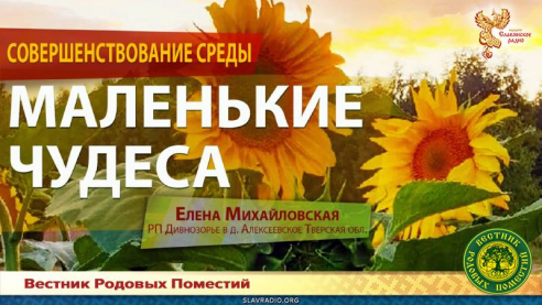 Маленькие чудеса