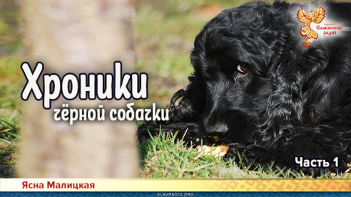 Хроники чёрной собачки. Часть 1