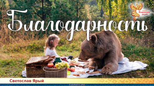 Благодарность