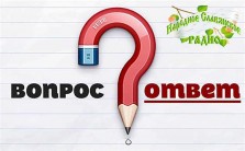 Разные ответы на&nbsp;разные вопросы для главного редактора 25-08-2016.