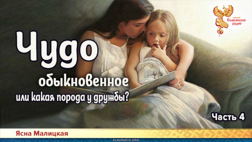 Чудо обыкновенное или какая порода у дружбы? Часть 4