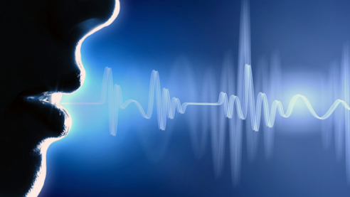 Подбирайте слова в разговорах и мыслях. Наш мозг воспринимает любую информацию буквально