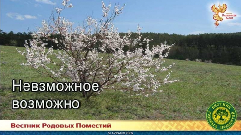 Невозможное возможно