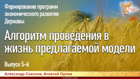 Формирование и проведение в жизнь программ экономического развития Державы. Выпуск 5. Алгоритм проведения в жизнь предлагаемой модели