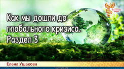Как мы дошли до глобального кризиса. Раздел 3