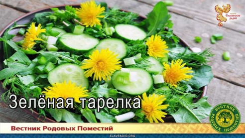 Зелёная тарелка