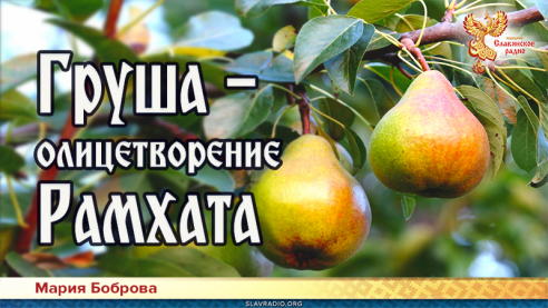 Груша &mdash; олицетворение Рамхата