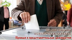 Прямая и&nbsp;представительная демократия