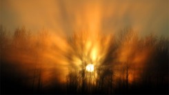 Ярилин день