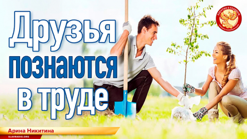 Друзья познаются в труде