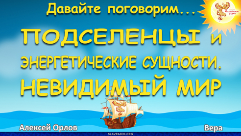 Подселенцы и энергетические сущности. Невидимый мир 