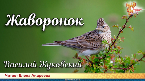 День поэзии. Василий Жуковский - Жаворонок