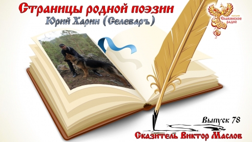Страницы Родной Поэзии. Выпуск 78. Юрий Харин(Селеваръ)