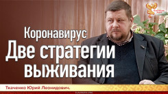 Коронавирус. Две стратегии выживания.
