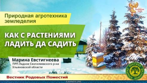 Как с растениями ладить да садить