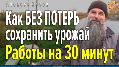 БЕЗ ПОТЕРЬ сохрани урожай до весны
