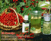 Энерго-информационная безопасность в&nbsp;мире