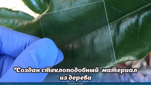 Создан стеклоподобный материал из дерева