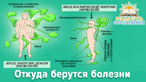 Откуда берутся болезни