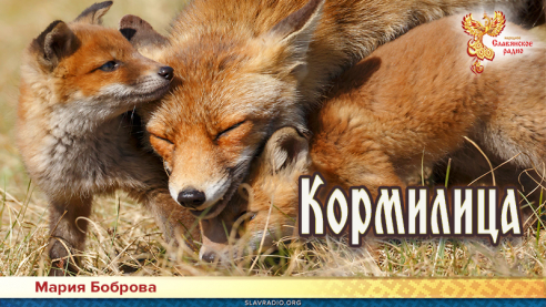 Кормилица 