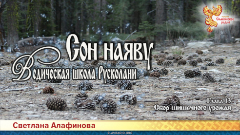 Ведическая школа Русколани. Сон наяву. Глава 13