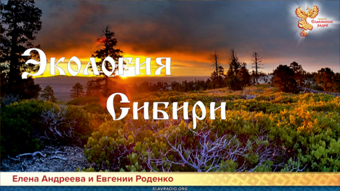 Экология Сибири