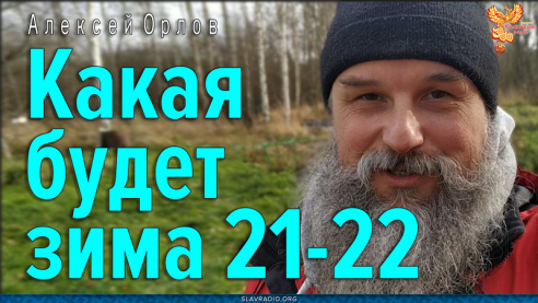Какая будет зима 2021-2022 года
