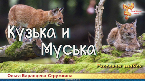 Рассказы тайги. Кузька и Муська