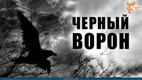 Чёрный ворон 