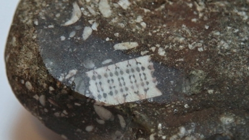 Капсула времени