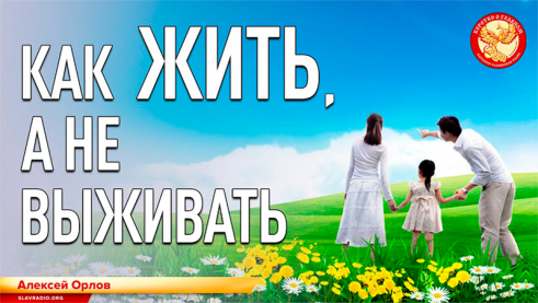 Как жить, а не выживать