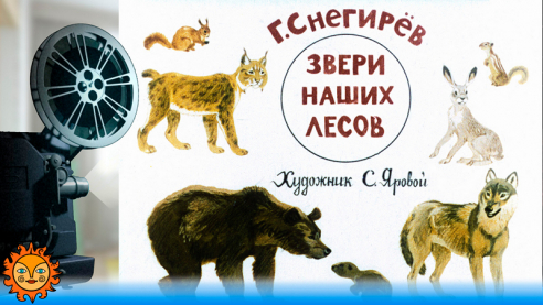 Звери наших лесов