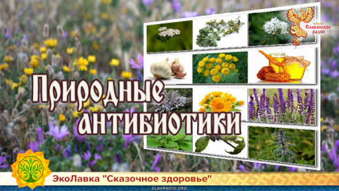 Природные антибиотики 