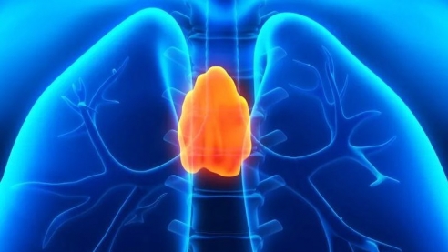 Точка счастья